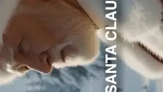 Story of Saint Nicholas feast day Saturday, 6 December 2025 #viral video#God
