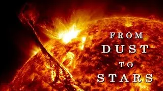 From Dust to Stars