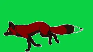 cartoon fox running cycle animation UHD green screen video