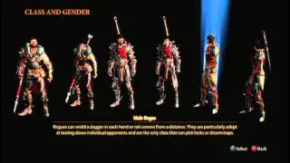 DRAGON AGE 2 GENDER AND CLASS SELECTION SCREEN