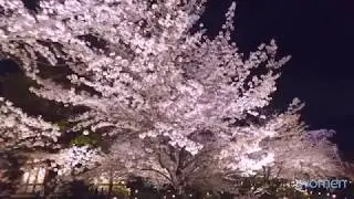 Visit Japan in 2018 with AdventureWomen - A Women's Cultural Tour