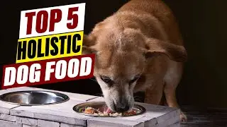 Best Holistic Dog Food: Natural & Nutrient-Rich Options for Your Dog's Health