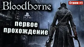 Bloodborne после 1000 часов элден ринга! [1] PS5