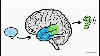 Can we crack our brain code? | Neurotechnology #1