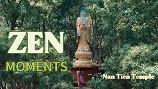 ZEN MOMENTS: A Peaceful New Year at Nan Tien Temple ｜南天寺新年祈福 Vlog：走進南半球最大寺廟的禪意時光