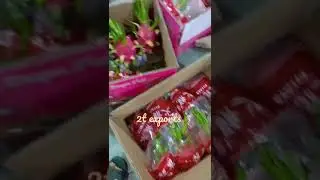 Fresh Dragon fruit