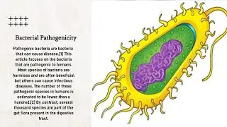 Bacterial Pathogenicity and virulence | bacterial pathogenesis | How bacteria cause damage