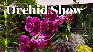 Orchid Jungle 2024: A Journey Through the World of Exotic Orchids - Part 2@Carol-Beauty of Nature.