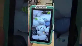 Tablet smartberry edukasi anak #tablet #tabletmurah #tabletanak #tabletandroidmurah