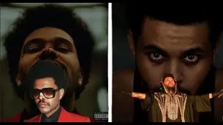 The Evolution Of 