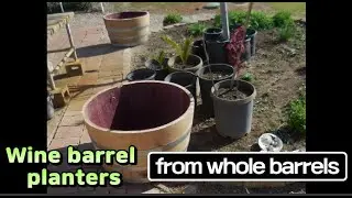 Wine barrel planters from whole barrels.