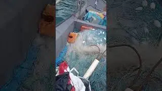 mar manso s&oacute; manuten&ccedil;&atilde;o