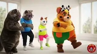 Cantonese | Sonus 音樂與舞蹈公園 | Sonu music and dance playground