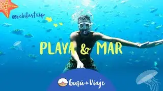 Visitando las Playas de M&eacute;xico con Sebitastrip - Gur&uacute; de Viaje