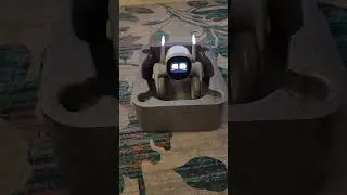 Haha #loona #loonarobot #petbot #robotfriend #viral #trending #fyp #shorts #keyitech #robot #trends
