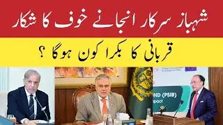 Shahbaz Sharif in Trouble ~ Reshuffle in Federal Cabinet ~ Finance Minister to be a scape goat ?