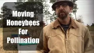 🛻🐝💨 Moving Bees for Crop Pollination #beekeeping #ncbeekeeping