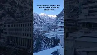 Live Update from Mata Vaishno Devi ❄️ | Katra Weather Today | 24 Jan 2026