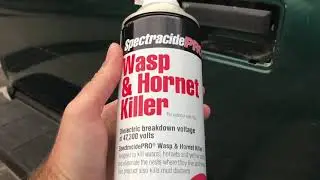 How To Kill Wasps And Hornets Safely