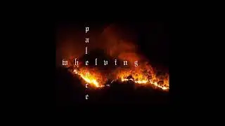 05. palence - evergloom