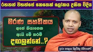 දුක නිෂ්පාදනය කරන තැන සොයා ගත්තෙමු | හසලක සීලවිමල හිමි