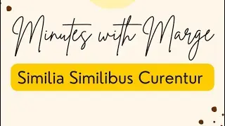 Minutes with Marge - Similia Similibus Curentur