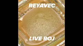 Reyavec ROJ T84% S 13450