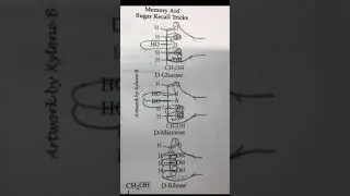 Memory's Sugar Recall Tricks | Glucose Formula Trick with hand #viralvideo #ytshorts #viral