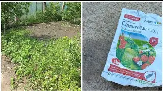 HE&Ccedil; KİM B&Ouml;Y&Uuml;K DANIŞMASIN🤲 D&Uuml;NYA BİR SANİYƏLİKDİ🤲 #countrylive #garden #usa #america