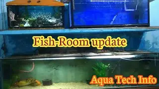 #191. Fish-Room update (in Hindi)