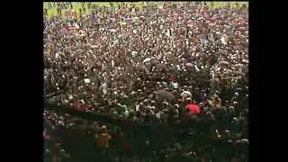 Jubilant Limerick fans celebrate at Croke Park after they win the 1973 All Ireland hurling final