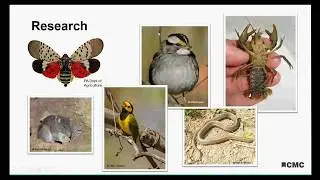 What Does a Curator of Zoology Do?