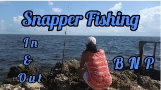 Snapper Fishing - In & out - Biscayne National Park