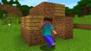 Minecraft In a Nutshell...