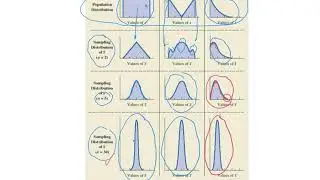 Sampling Distributions - Central Limit Theorem