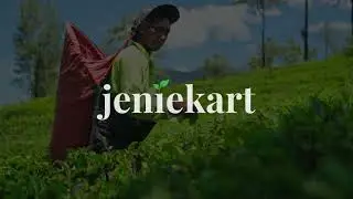 Exploring the Rich Aroma and Delicate Flavor Profile | The Essence of Darjeeling Black Tea