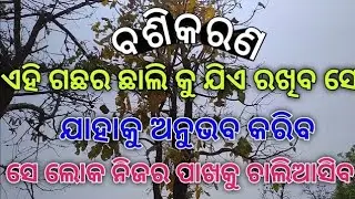odia vashikaran vidya | mohini mantra vashikaran | odia vashikaran mantra tantra | mohini | TBC ODIA
