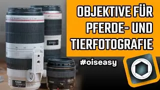 Objektive für die Pferdefotografie und Tierfotografie - OisEasy #12