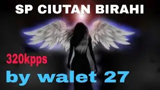 suara walet sp cuitan biraha respon luar biasa. silahkan di tes sendiri