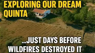 Portugal Dream Quinta - Exploring Our Farm Just Days Before A Wildfire Destroyed It