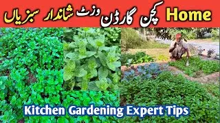 Home Kitchen Gardening Tips and Tricks  | Small Kitchen Garden Visit | Winter Vegetable Growing Tips