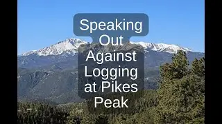 Josh Schlossberg of Eco-Integrity Alliance Speaks Out Against Logging in Pike National Forest