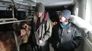 Organic dairy farmers Emily and Brandi Harris