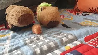 cómo cuidar a tu capibara parte9 titulo: el juguete