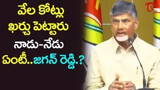 Chandrababu Naidu Serious Comments On CM Jagan | Tone News