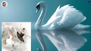 Swan Lake  Fairy Tale in English for Kids Сказка Лебединое Озеро на английском
