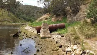 The Shag Bay Track: A Virtual Walk (Slow TV)