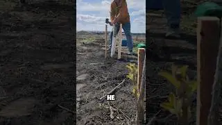 Винный критик честно о ВИНЕ @amateur.de.vin988 #олегводопьянов