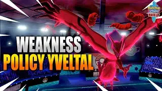 WEAKNESS POLICY YVELTAL - Pokemon Sword and Shield VGC 2021