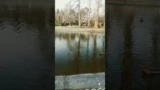Dunavski park..